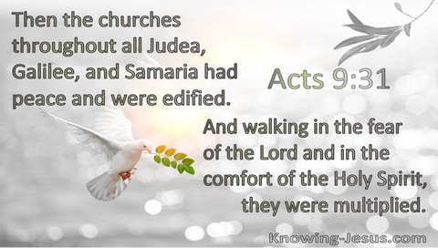 Acts 9:31 The Churches In Judea, Galilee, And Samaria Had Peace And Were Edified (gray)